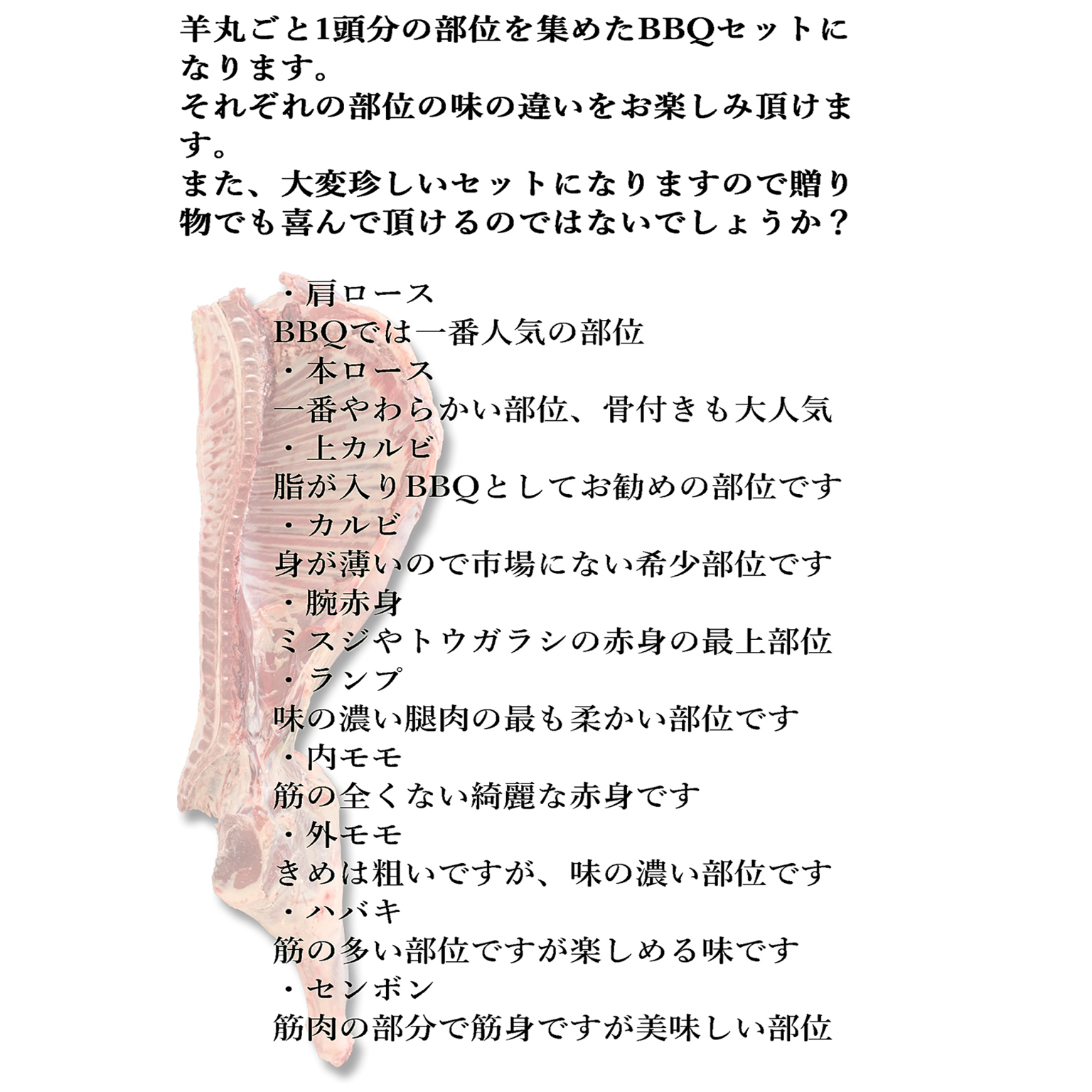 ジンギスカン 送料無料 1kg バラ 肩ロース 羊1頭買いだからこそできる珍しい焼肉セット q用ジンギスカン トウガラシ ミスジ 1頭分セット 羊尽くし