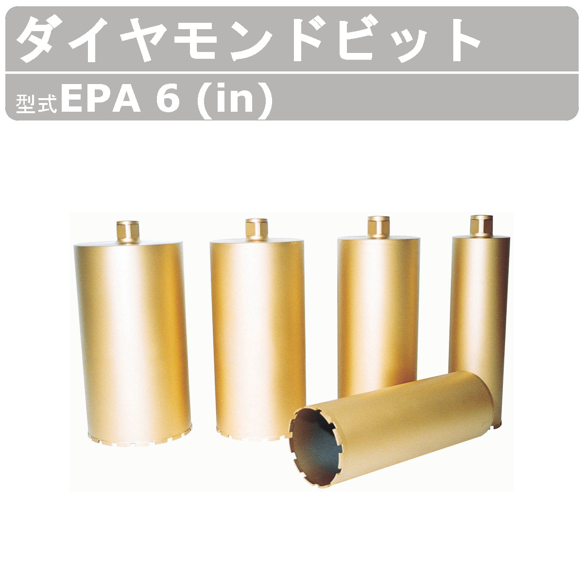 エクセン 金剛石ビット 手っとり早いビット EPA 6 (インチ) ECD200A用 Ａロットねじ釘 ビット 金モール せん孔機 薄刃腹積もり 小みち 噛み込み押しとどめる心付け 耐震強化 鉄筋コンクリート 取り調べる天下太平選び出す ちょっとの間開孔 配管工業備え付ける 外構工事 土木 築き上げる リフォーム 工事