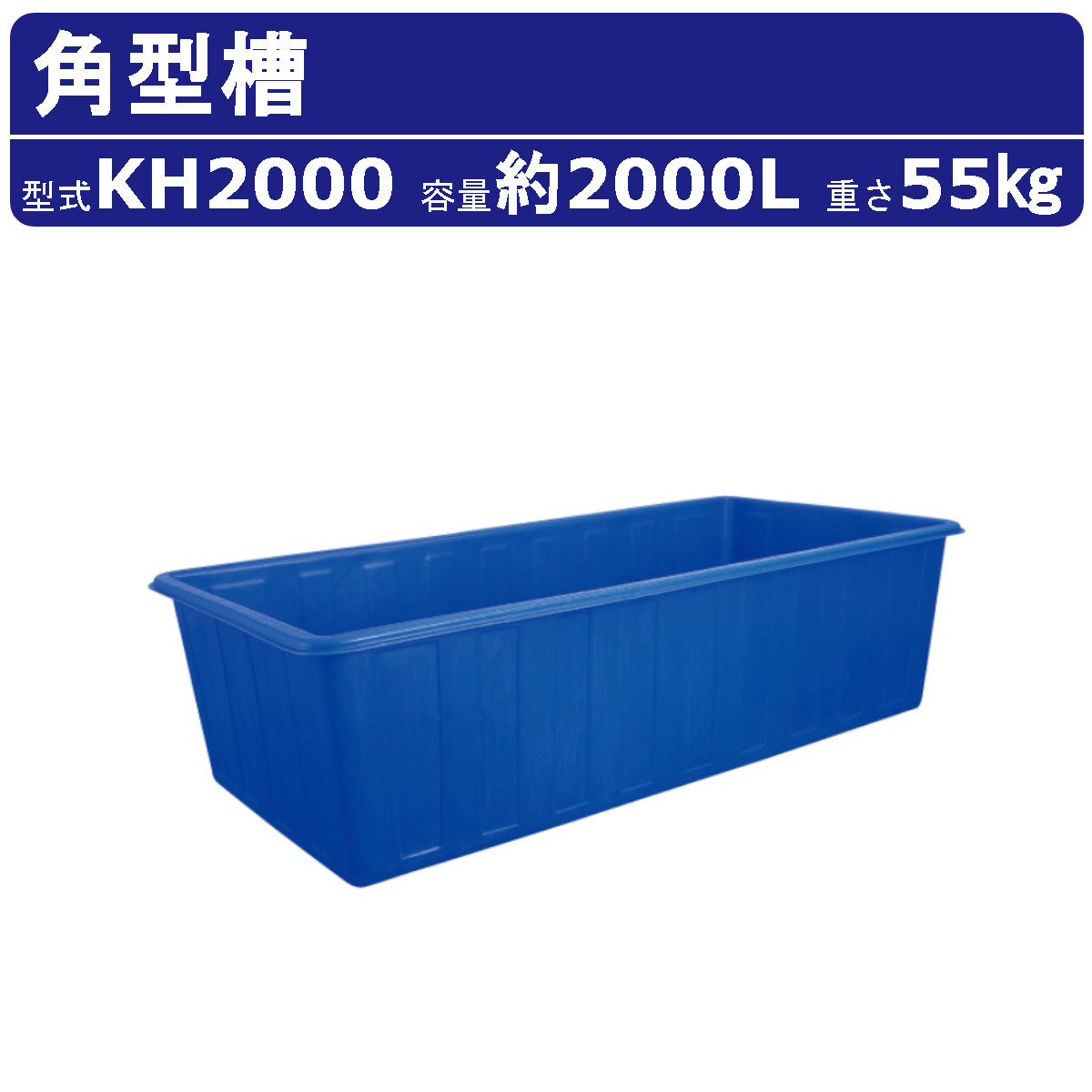 青磁水注 雨龍型 亀形　木箱（共箱） r123_202.jpg