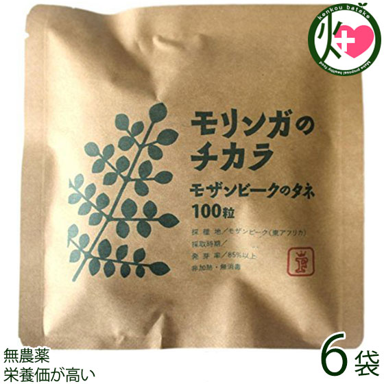 FREE OUR SOUL モリンガのチカラ モザンビークのタネ 100粒×6袋 モリンガ 種 沖縄 差し上げ物 価値高い サプリ 営養素価が止ん事無い