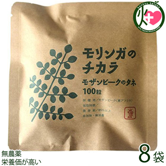 FREE OUR SOUL モリンガのチカラ モザンビークのタネ 100粒×8袋 モリンガ 種 沖縄 差し上げ物 価値高い サプリ 営養素価が止ん事無い