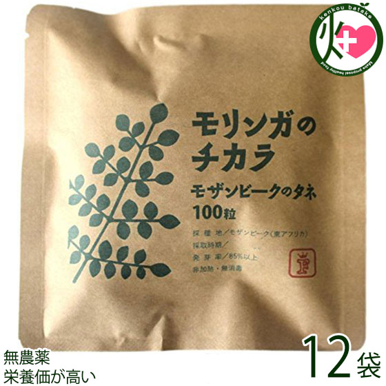 FREE OUR SOUL モリンガのチカラ モザンビークのタネ 100粒×12袋 モリンガ 種 沖縄 差し上げ物 価値高い サプリ 営養素価が止ん事無い