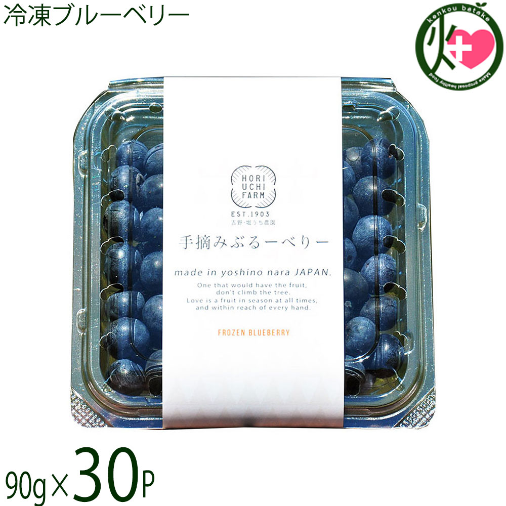 堀うち農園 冷凍ブルーベリー90g×30P 減農薬栽培 有機肥料使用