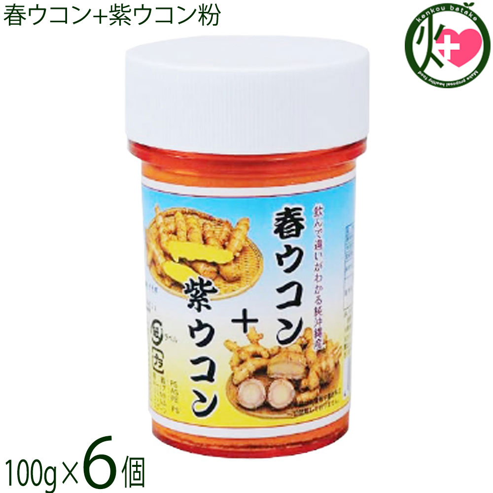 比嘉製茶 春ウコン+紫ウコン粉末 100g×6個 沖縄