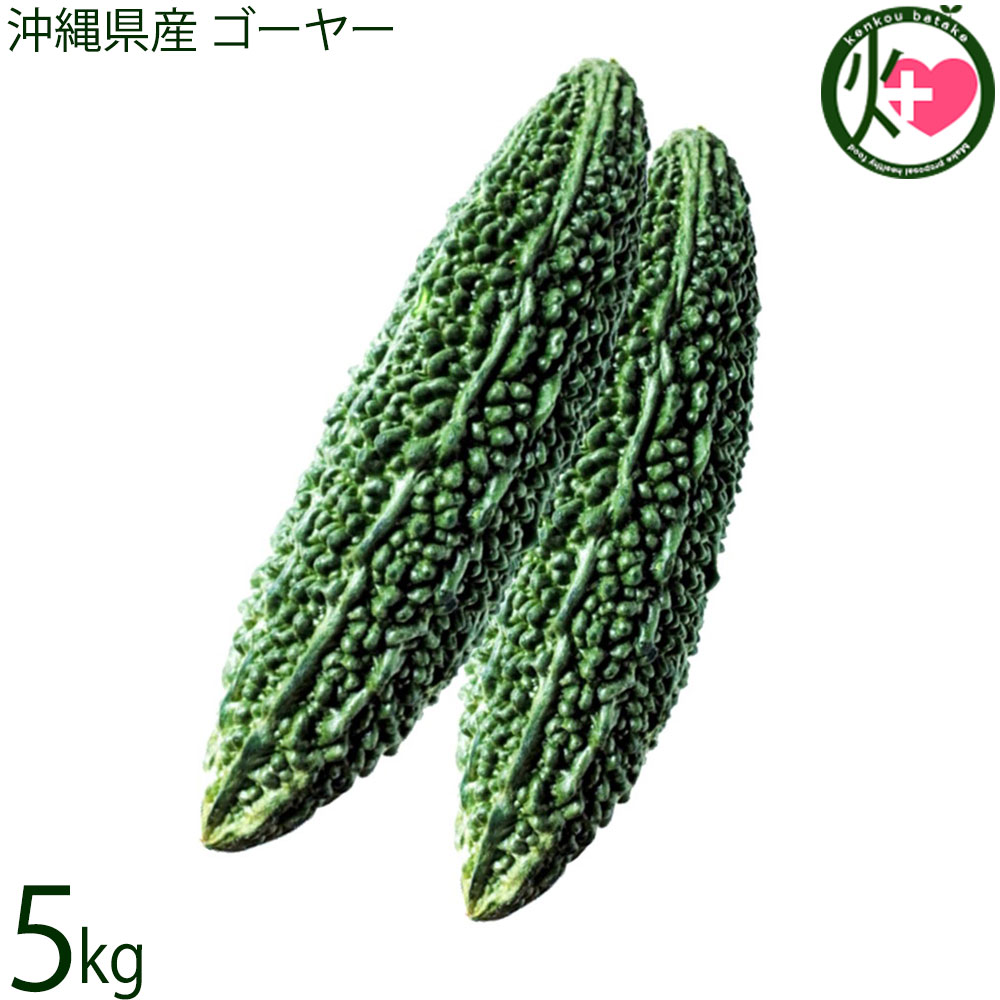 沖縄県産 ゴーヤー 約5kg 沖縄 苦瓜 6,566円