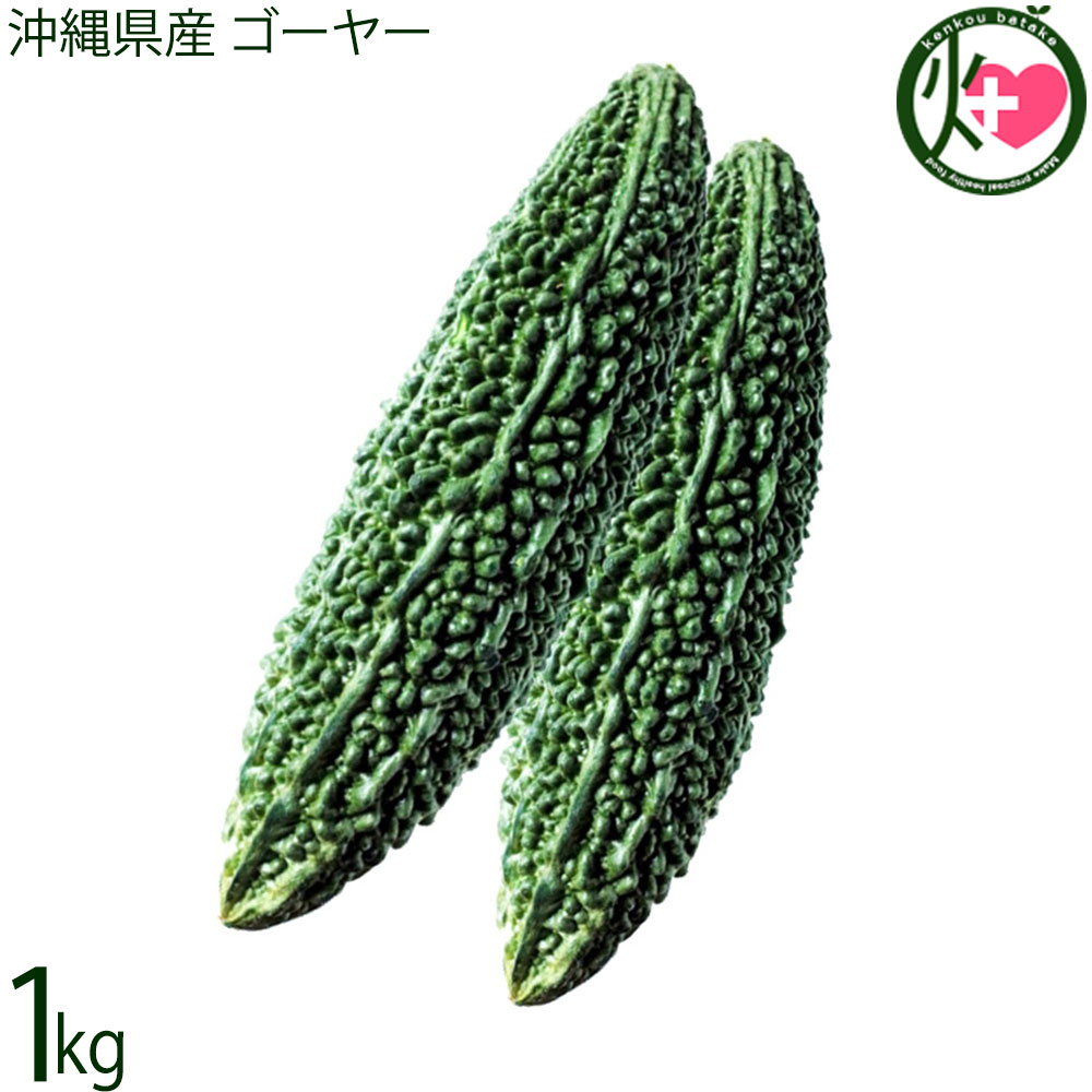 楽天市場】沖縄産 赤瓜 モーウィ 1kg /沖縄野菜 モウイ モーイ 冷蔵