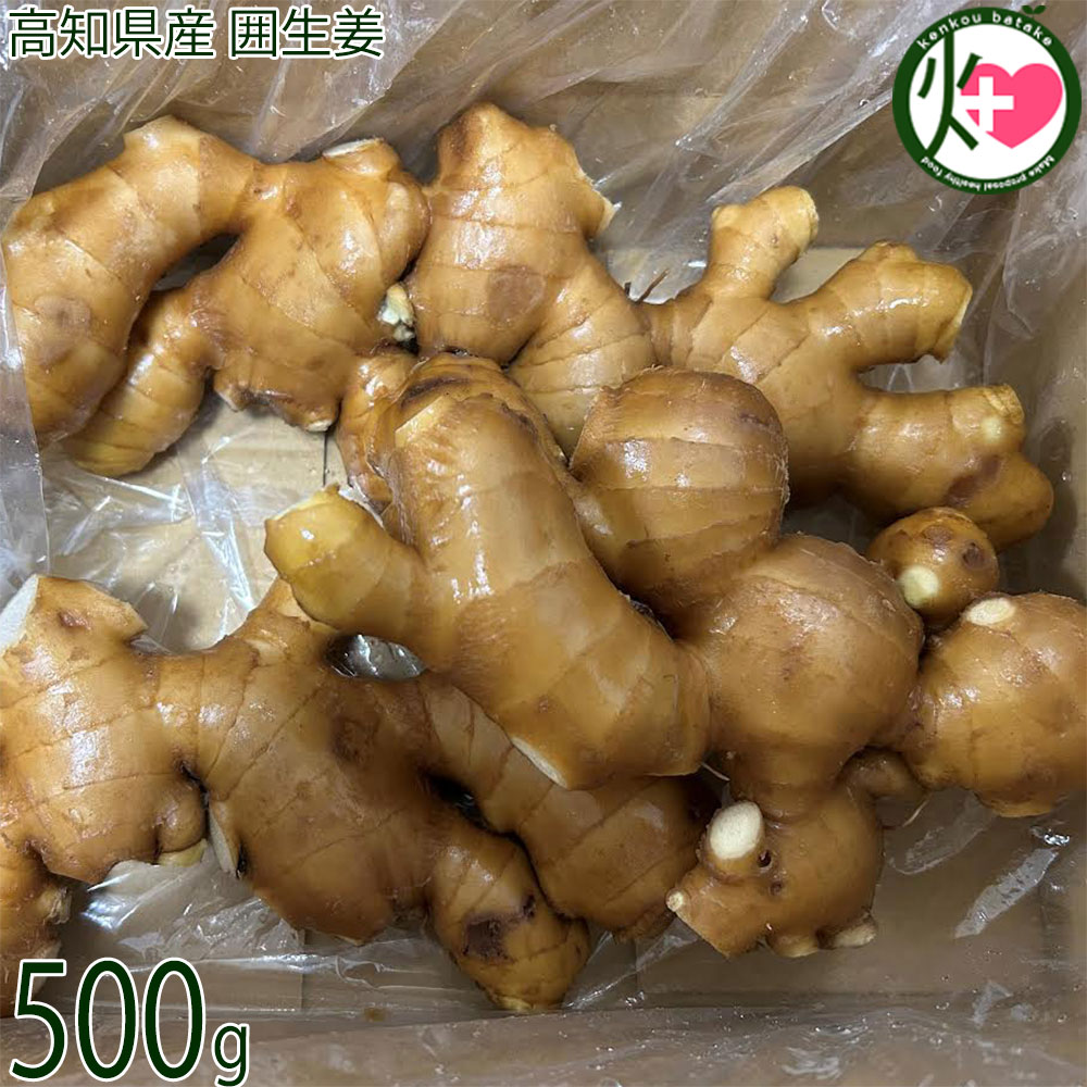楽天市場】【高知県産】親生姜 4kg 生姜 箱売り 送料無料 漬物