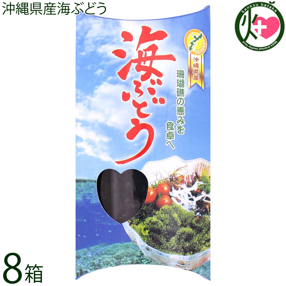 平良商店 沖縄県産海ぶどう 32g×8箱 沖縄