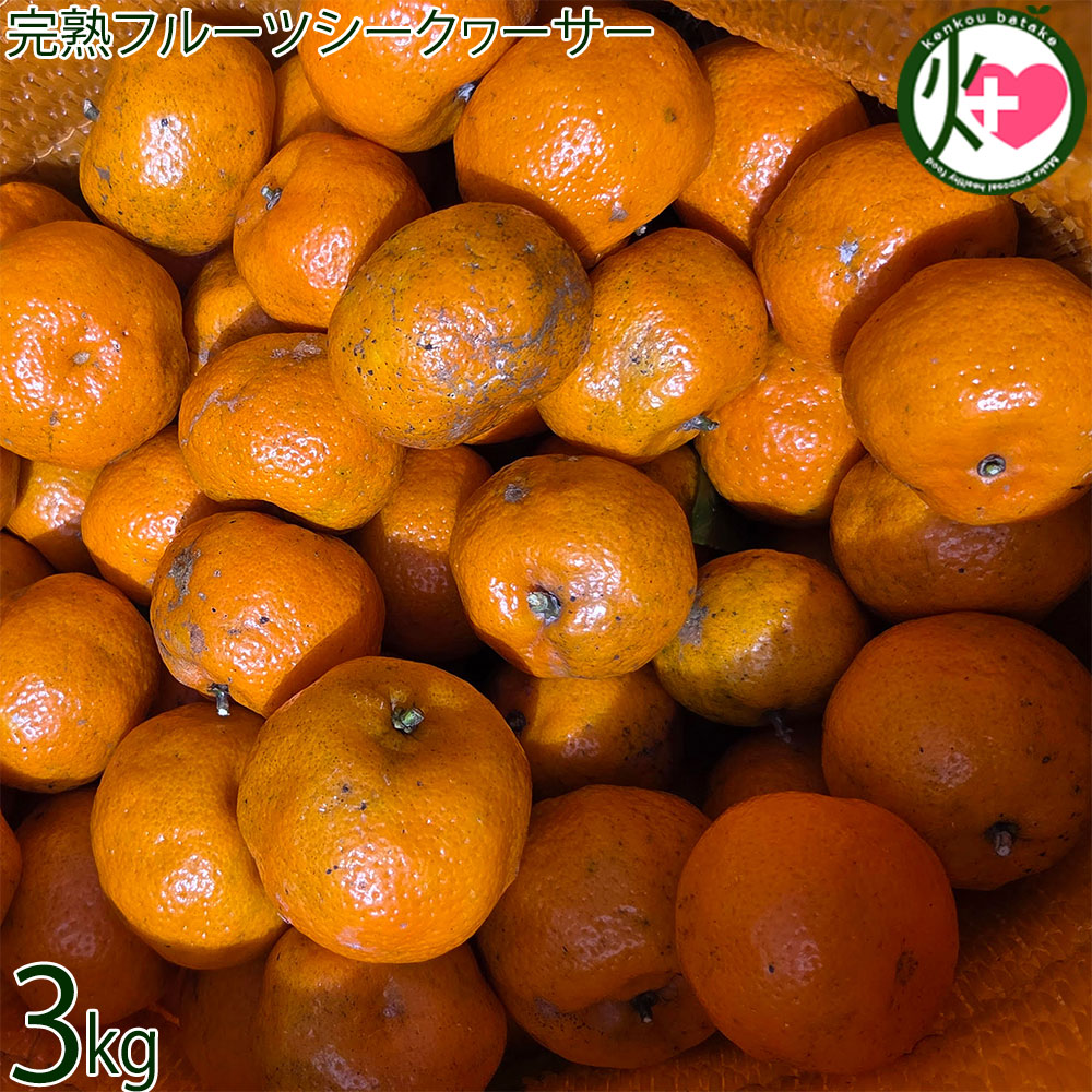 サンチャイルド農園 完熟フルーツシークヮーサー 3kg(約70玉～110玉）