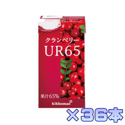キッコーマン クランベリーUR65 125ml×18本×2ケース 36本 果汁65% 【栄養】送料無料|健康デパート