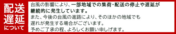 楽天市場】ゾーリンゲンペディ 本体 【 替刃10枚 付き 】角質削り コーンスライサー カミソリ かかと 魚の目 角質 削り フットケア ドイツ製  solingen【ポスト投函 送料無料】 : 健康ｆａｎ 楽天市場店