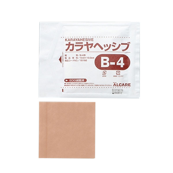 カラヤヘッシブ・ブラインドタイプ　Ｂ－４号　１５１９２　１０枚