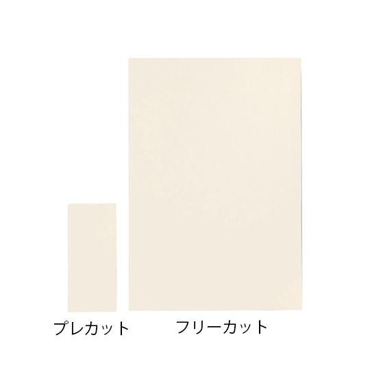 フェルト絆　プレカットシート　２０７８１　２０枚