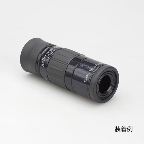 ギャラリーEYE4×12専用フードブラック