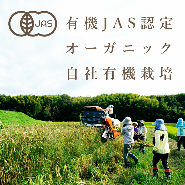 【活性はとむぎ美人茶有機農産物お徳タイプ6個セット】(国産有機・オーガニック・無農薬・自社栽培・奈良県産・無添加・ノンカフェイン・はとむぎ茶・ハトムギ茶・ハト麦茶・はと麦茶・鳩麦茶)