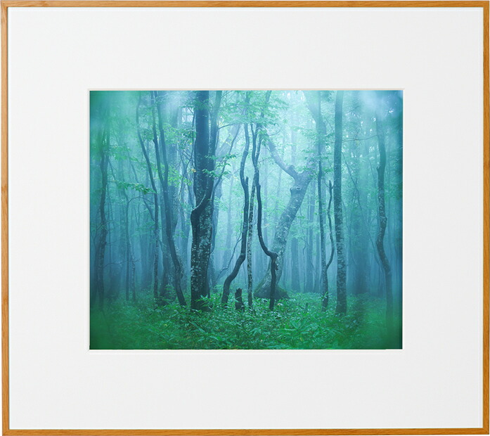 【即配】Kenko ギャラリー A4 ナチュラル AGY-A4-NA ケンコートキナー KENKO TOKINA 額縁 展示会 個展 写真展 フォトフレーム