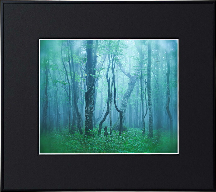 【即配】Kenko ギャラリー 四切 ブラック AGY-4-BK ケンコートキナー KENKO TOKINA 額縁 展示会 個展 写真展 フォトフレーム