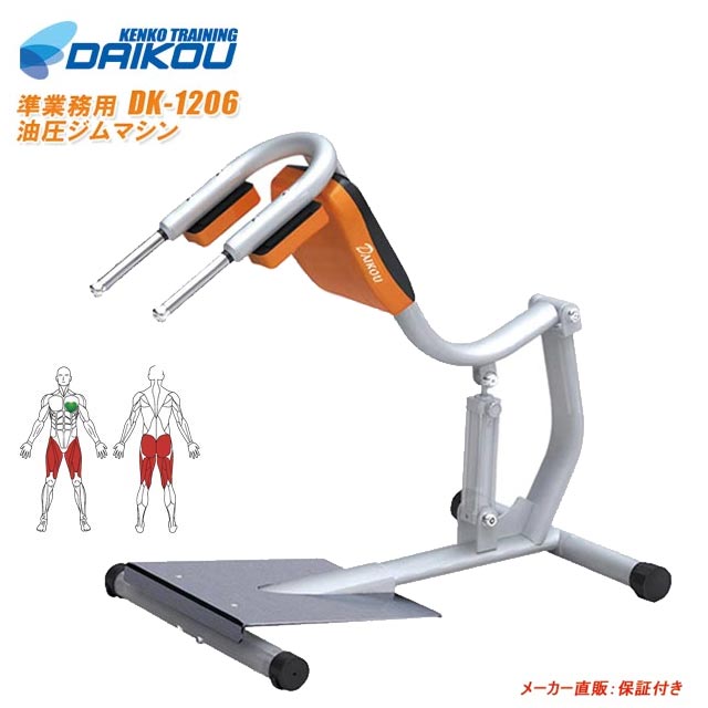 【セール中】 油圧ジムマシン スタンディングレッグレイズ 下半身のトレーニングに最適 トレーニングマシン スクワットマシン 有酸素運動 リハビリ デイサービス 準業務用 大広 ダイコー DK-1206