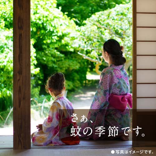 激安格安割引情報満載 アースノーマット電池式 蚊取り180日つめかえ 2個入