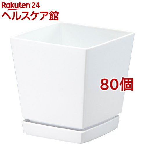 クエンチローポット 4号 紅毛 80個後景 クエンチ Marchesoni Com Br