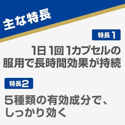 楽天市場 第 2 類医薬品 アネロン ニスキャップ 9カプセル アネロン ケンコーコム