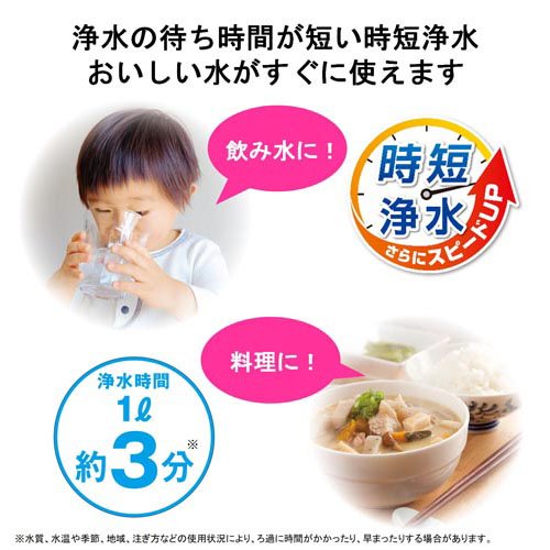 東レトレビーノポット型浄水器カートリッジ2個付時短・高除去PT306SV-SP