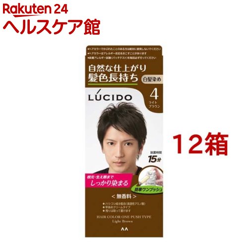ルシード ワンプッシュケアカラー ライトブラウン(100g*12箱セット)【ルシード(LUCIDO)】|24 ヘルスケア館