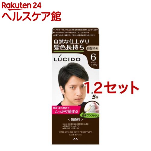 ルシード ワンプッシュケアカラー 6 ダークブラウン(50g+50g*12セット)【ルシード(LUCIDO)】|24 ヘルスケア館