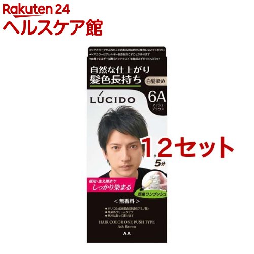 ルシード ワンプッシュケアカラー アッシュブラウン(50g+50g*12セット)【ルシード(LUCIDO)】｜24 ヘルスケア館