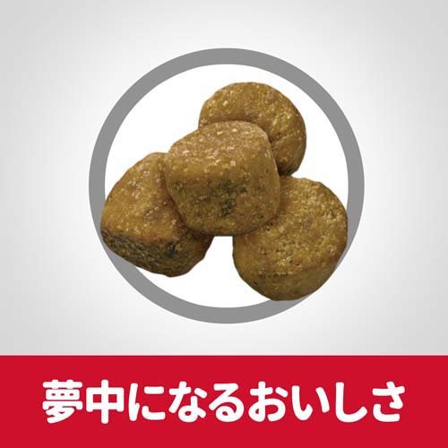 人気ショップが最安値挑戦 サイエンスダイエット ライト 肥満傾向の成犬用 6 5kg 2袋セット サイエンスダイエット 安いそれに目立つ Betterretention Com