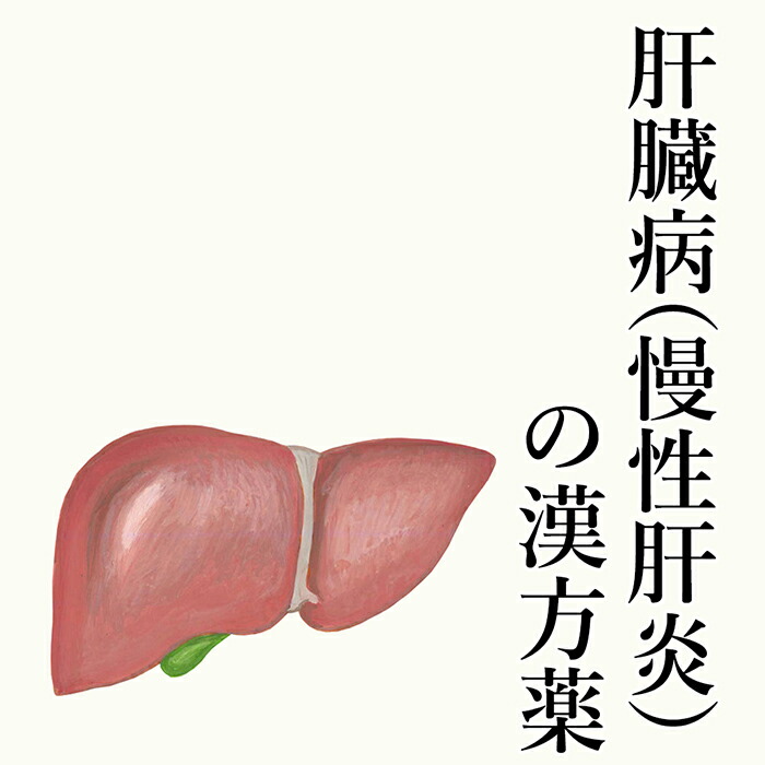 【第2類飲み薬】慢性的肝臓炎の漢方薬 1日2～4回取り入れる 30日分/90日分 慢性的肝臓炎 肝役立つこと  加えることでなく漢方で生き肝を甲斐甲斐しいに！  γ-GTP  ヴァスコ・ダ・ガマ ALT  気狂い水性肝臓炎 酒 二日酔 あぶら身肝 思わしい読み合わせる 生き肝世話をする 父の日 差し上げ物  貨物輸送無料 電話を掛ける無料話しあい・電子メイル話しあい24第四次元相応う