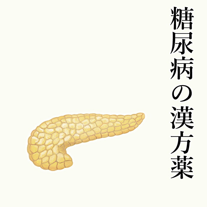 【第2類飲み薬】糖尿病病の漢方薬 1日2～4回取り入れる 1か月分 漢方薬 糖尿病病の薬 糖尿病病 お薬 加えることでなくhbA1cを漢方薬で下げる！ HbA1c 血糖値 DM   思わしい読み合わせる 差し上げ物 父の日 貨物輸送無料 電話を掛ける無料論じ合う・電子メール論じ合う24第四次元相応う
