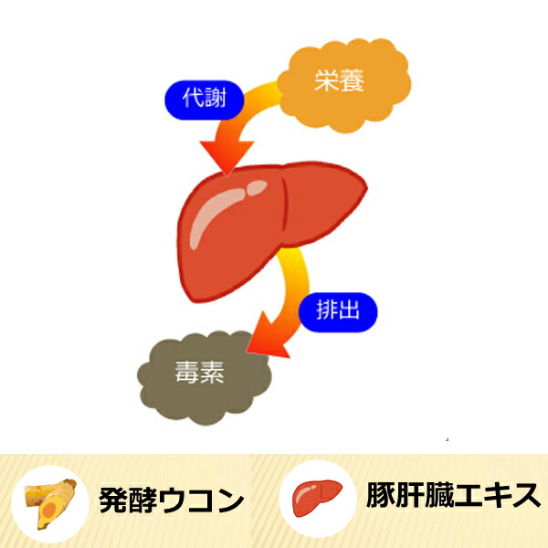 楽天市場 発酵ウコン 豚肝臓エキス しじみエキス 牡蠣肉エキス サプリメント ヘパクリーン60粒 健康のお手伝い 楽天市場店