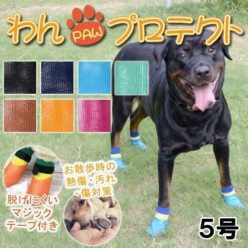◇アライブ わんPAWプロテクト ベーシック 5号 ブラック【メール便発送のみ】 ◇アライブ わんPAWプロテクト ベーシック 5号 ブラック【メール便発送のみ】