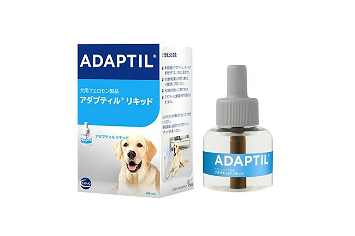 楽天市場】セバジャパン アダプティル カラー 犬用 L【送料無料