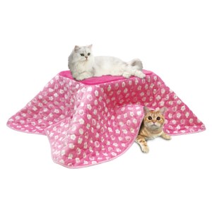 2025年版］猫用ヒーターおすすめ12選｜寒さ対策できるアイテムを厳選