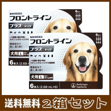 動物用医薬品 犬用 フロントラインプラス 犬 ドッグ ｌ 40kg未満 脱走防止 6本入 猫 2 68ml 6 2箱セット ペット健康便送料無料