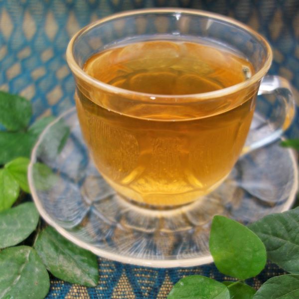 楽天市場 ギムネマ茶 0g 宅配便ご注文合計3000円以上送料無料 Gymnema Tea ギムネマシルベスタ茶 ギムネマシルベスタ 健康茶 ギャラリー