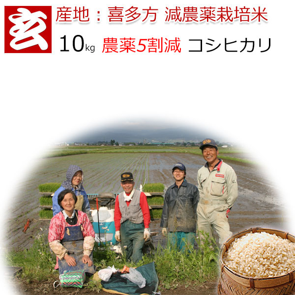 新米 減農薬 玄米 10kg 送料無料 福島県会津喜多方 1等米 コシヒカリ産年