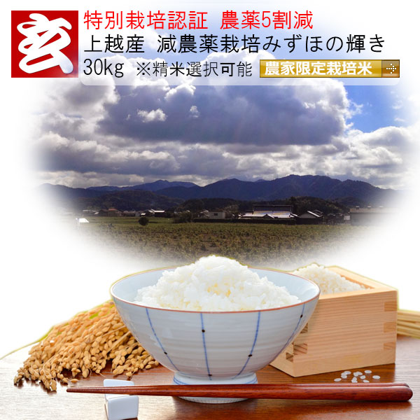 楽天市場】米 10kg 送料無料 精米選択可能 農薬7割減栽培 1等米 減農薬米 コシヒカリ玄米 産地：丹波篠山産 産年：令和5年 生産 者：田渕真也自家製堆肥で土作りからこだわり、追肥を一切せず収穫量よりも品質を重視したワンランク上のお米作り。 : 産地直送米専門店『玄米 ...