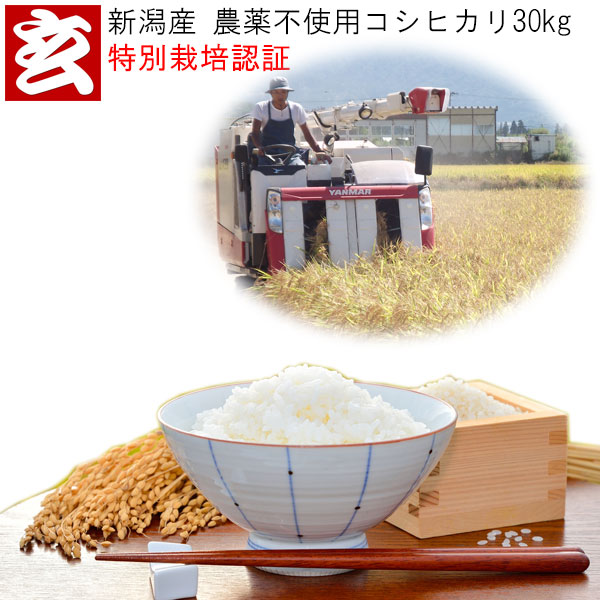 masmas様 農薬不使用 玄米 10kg masmas様 農薬不使用 玄米 10kg masmas様 農薬不使用 玄米 10kg