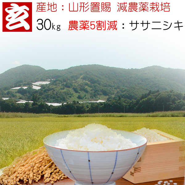 新米 米 30kg 送料無料 精米選択可能 農薬5割減 <br>減農薬 ササニシキ玄米 <br>産年：令和7年 産地：山形県置賜産 生産者：小林 亮氏<br>「ササニシキ」は、食感・旨味、あっさりとした炊き上り。アミロース含量が高いので粘りの少ないお米。和食にお勧めです
