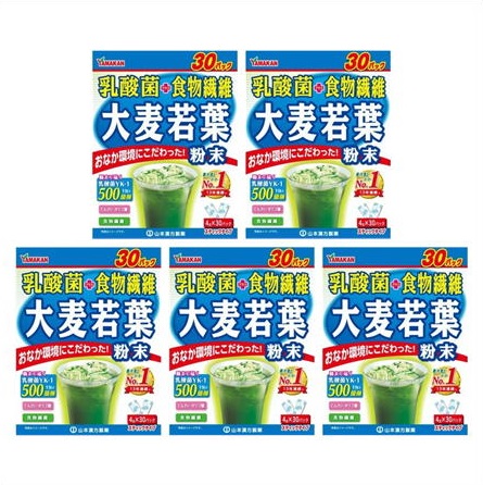 送料無料 ▲［5個セット］乳酸菌＋大麦若葉粉末　4g×30包入り×５個 ●翌日配達「」対象商品（休業日を除く）●