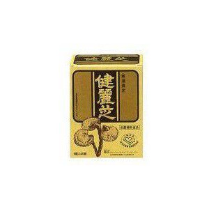 送料無料 健麗芝　4粒×40袋入り ●翌日配達「」対象商品（休業日を除く）●