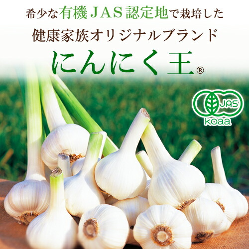 高品質 健康家族公式 新漬け 梅にんにく 100ｇ 2袋 シャキ ほくっ食感がたまらない おいしい梅にんにく 有機にんにく 南高梅と鰹節で風味豊かに仕上げました 低臭加工 国産 有機農家の健康家族が作った国産にんにく王使用 にんにく
