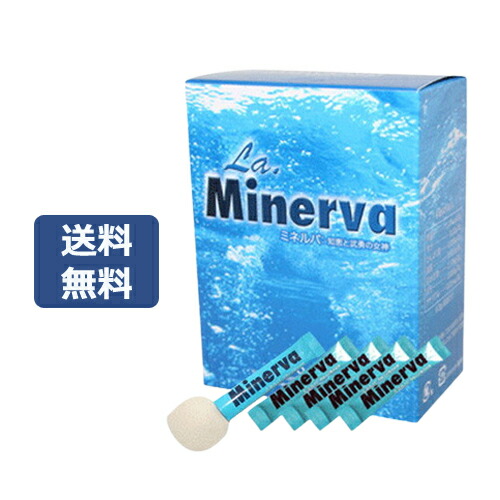 ミネルバ 青パパイヤ発酵食品（3g×30包）+3包増量 【アイ・オー・エヌ】