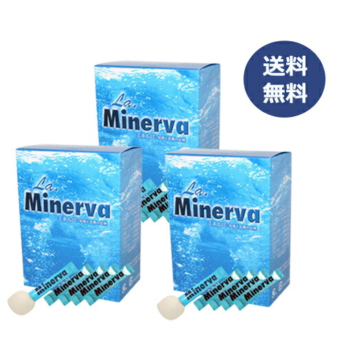 ミネルバ 青パパイヤ発酵食品×3箱セット ※全国送料無料