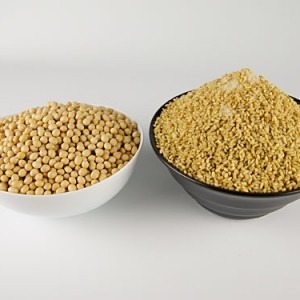 有機栽培 手作り味噌セット 甘口（約7kg）玄米麹タイプ【マルカワみそ】※キャンセル不可