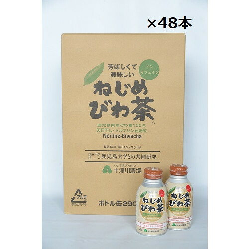 ねじめびわ茶ボトル缶 （290ml×48本）※同梱・キャンセル・ラッピング不可