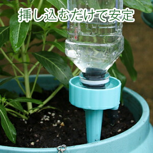 最大58 Offクーポン 自動水やり 6pcs プラスチック 自動水やり器 観葉植物 園芸用品 プランター 水やり 留守 自動給水キャップ ペットボトル対応 繰り返し使用 ガーデニング用品 Sferavisia Hr